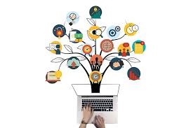 Curricolo Digitale Verticale